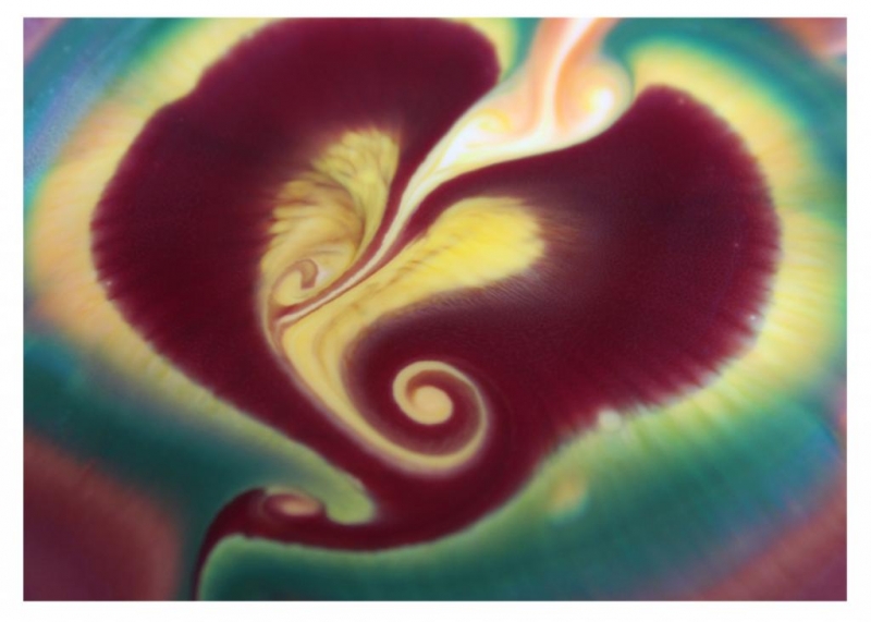 Molly Hinton Jones – Photography – Grade A – Digital Image